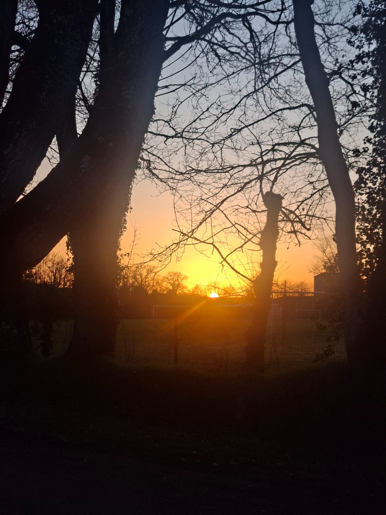 Photo de l'album Paysage du soleil