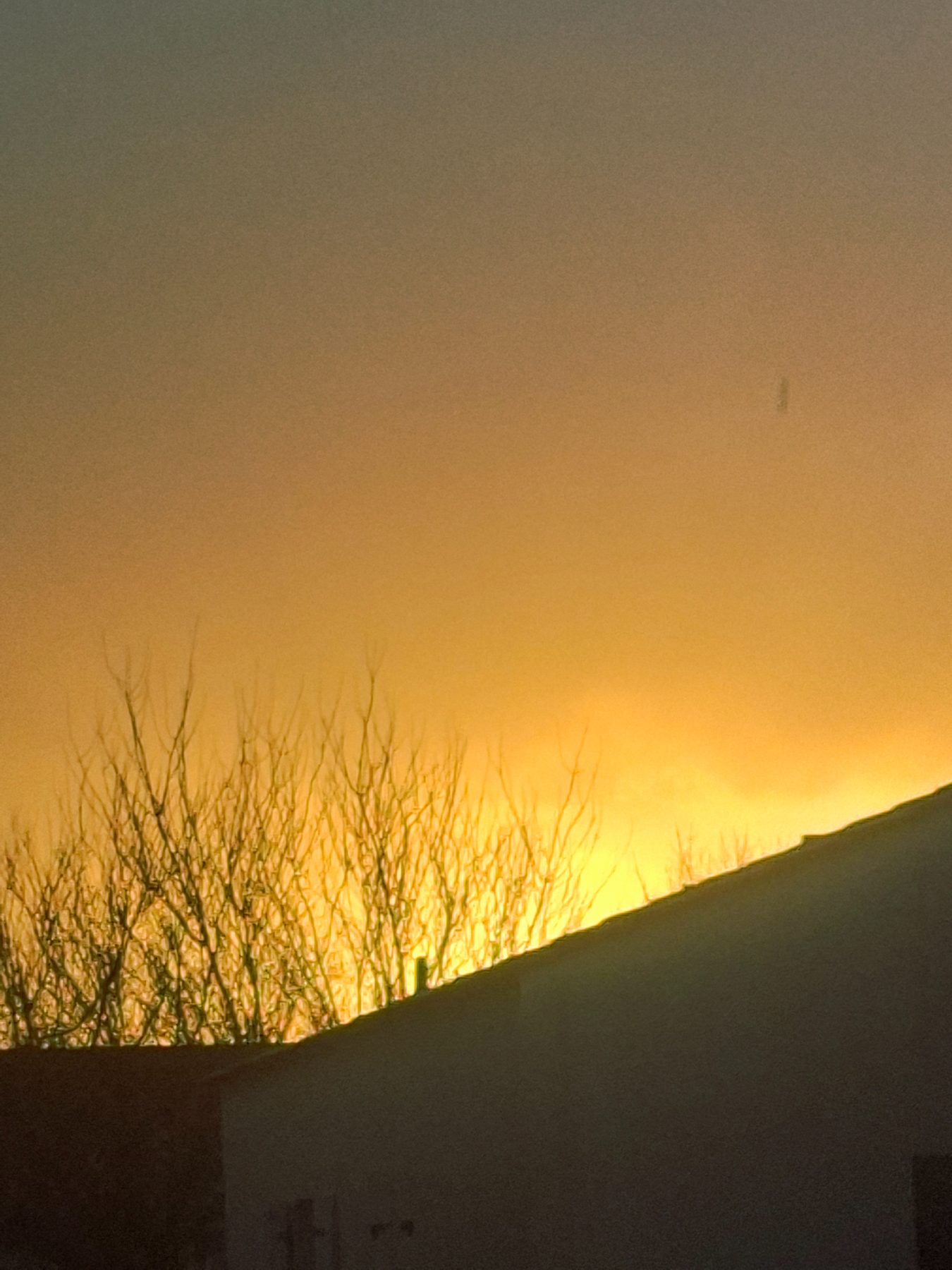 Photo de l'album Paysage du soleil