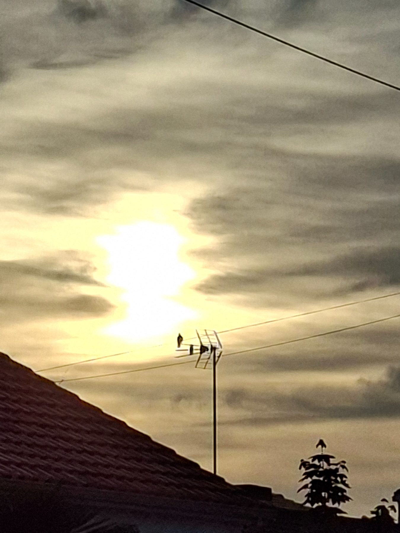 Photo de l'album Paysage du soleil